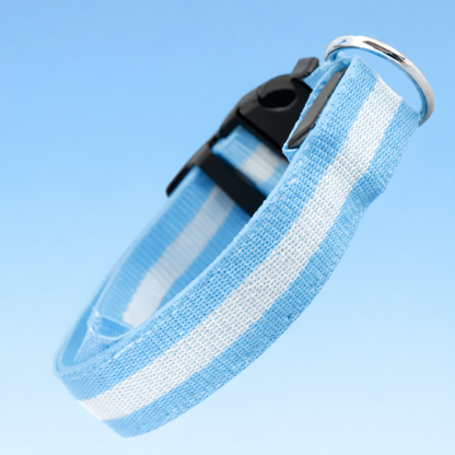 Anti-lost Led Luminous Dog Collar