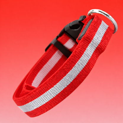 Anti-lost Led Luminous Dog Collar